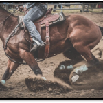 2025 Wayne County 4-H Timed Event Rodeo